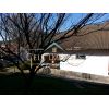 Casa T�rrea - Centro - Caldas