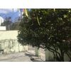 Casa T�rrea  com Ed�cula - Rua Retiro/Av 9 Julho