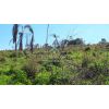 �rea  - 20.000,00m� - Jundiai