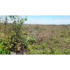 �rea 31.765,00 m� - Jundiai
