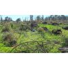 �rea 31.765,00 m� - Jundiai