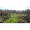 �rea  - 20.000,00m� - Jundiai